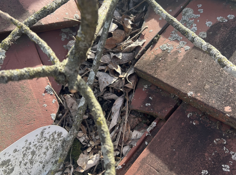A bunch of tree clutter on a roof